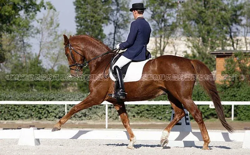 J9九游会老哥俱乐部小红书《足球运动员签约背后的工作原理是什么？足球俱乐部和球员签约需要考虑哪些因素？》