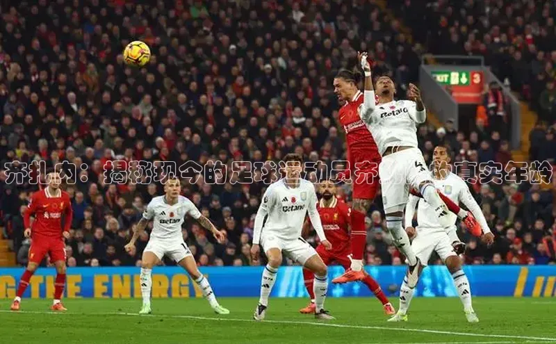 j9九游会老歌交流社区元隆雅图齐扎内：揭秘现今的足球运动员齐扎内的真实年龄