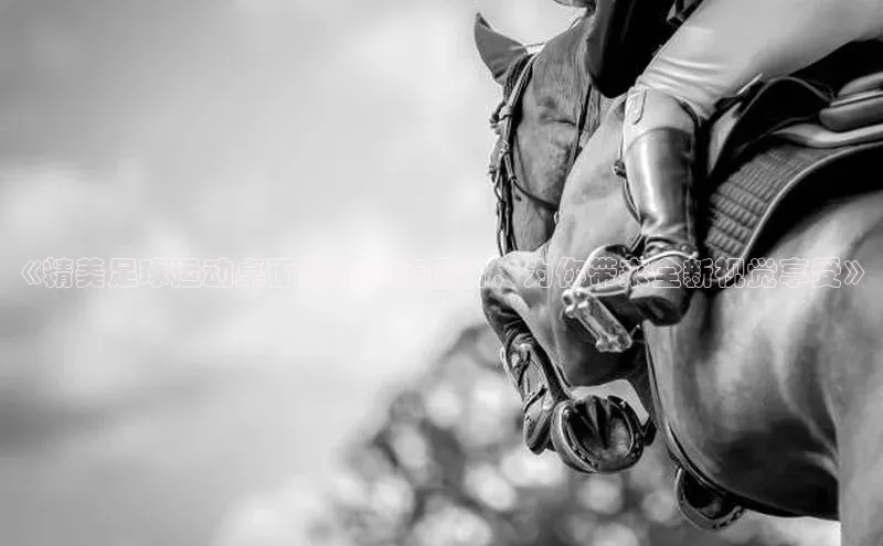 j9九游会老歌交流社区元隆雅图《精美足球运动桌面壁纸高清图片，为你带来全新视觉享受》