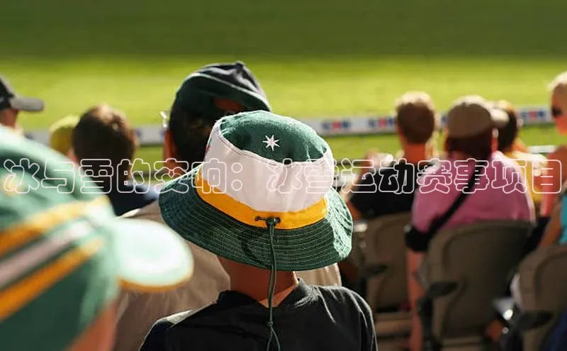 九游j9登录入口首页顺丰冰与雪的交响：冰雪运动赛事项目