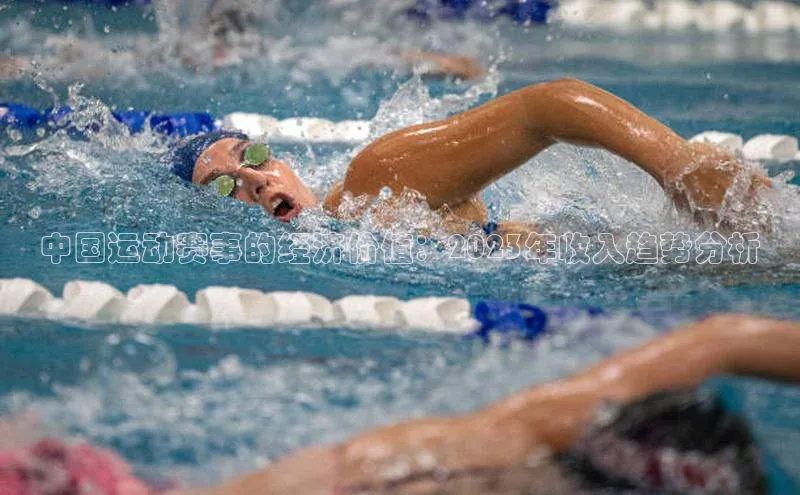 中国运动赛事的经济价值：2023年收入趋势分析