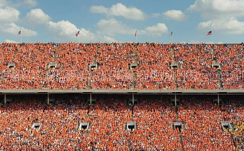 与挑战：聚焦汽车品牌赛事的运动目标定位策略