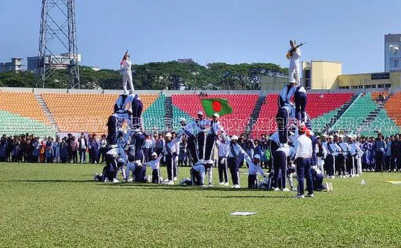 跨越国界的激情：大型体育赛事中的文化碰撞与全球化现象分析