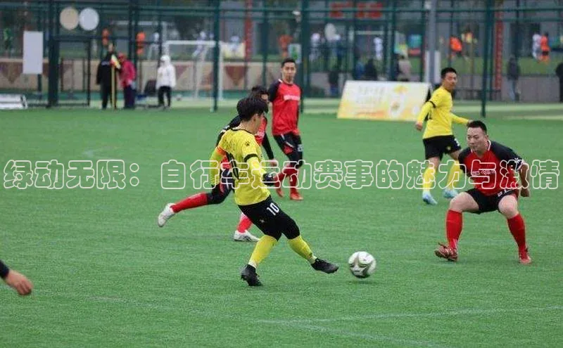 绿动无限：自行车运动赛事的魅力与激情