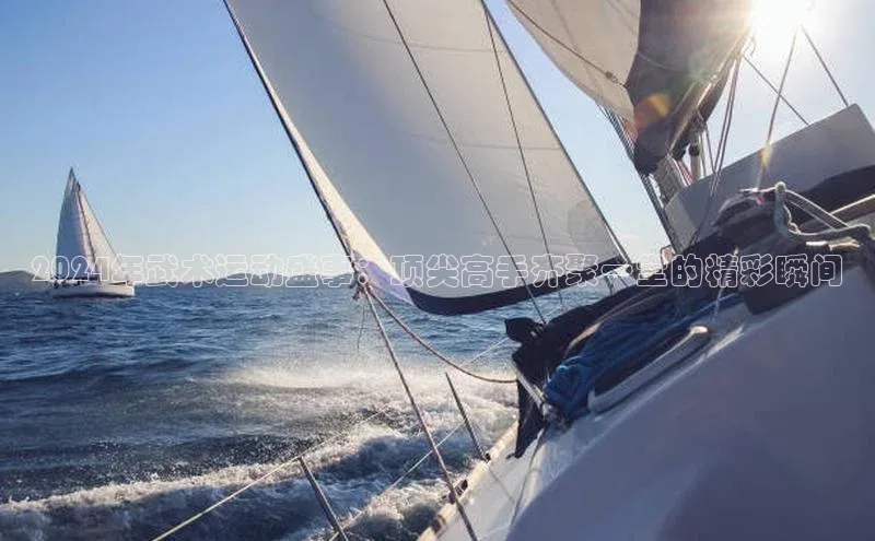 2024年武术运动盛事：顶尖高手齐聚一堂的精彩瞬间