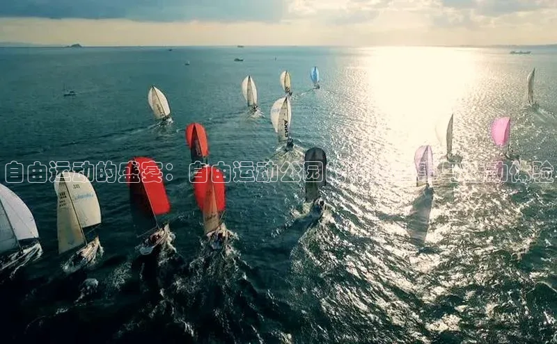 自由运动的盛宴：自由运动公园的精彩赛事与活动体验