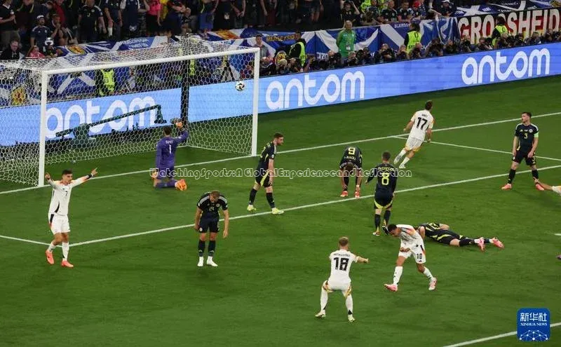 WatchingSports:AGlobalExperienceandReflection