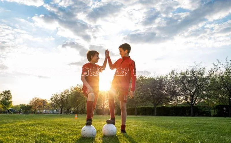 九游会j9官网登录入口