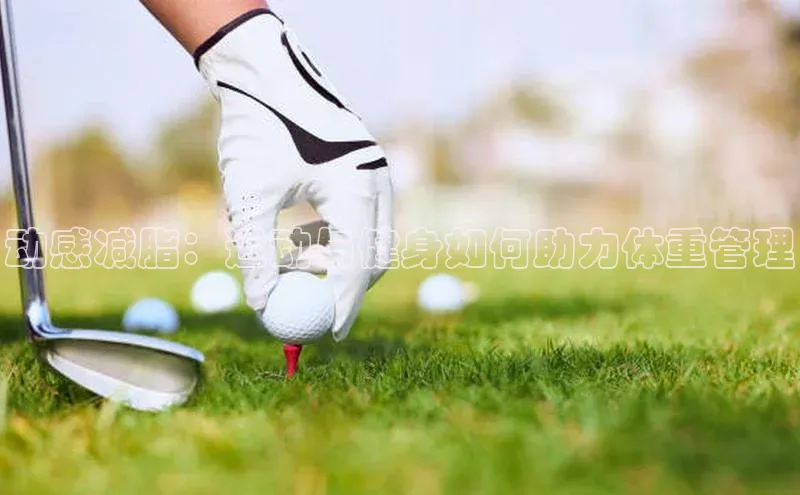 九游会ag登录j9入口