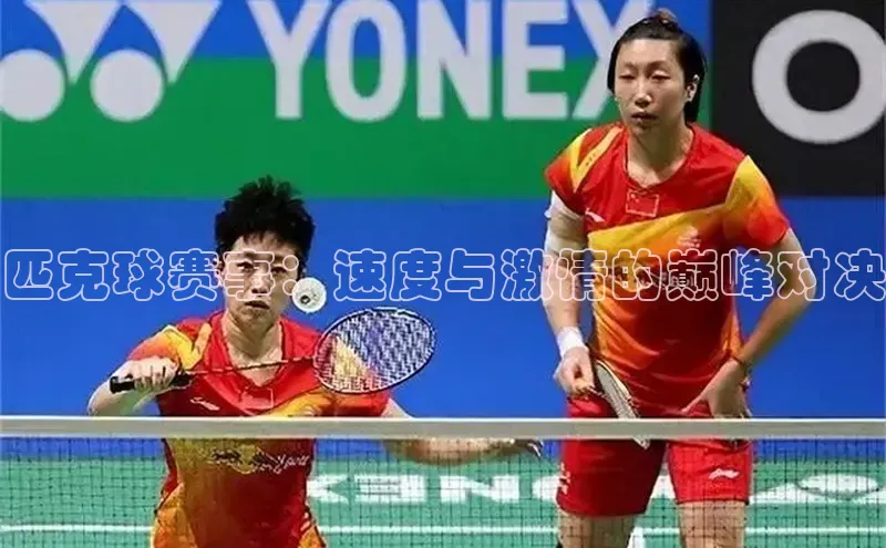 匹克球赛事：速度与激情的巅峰对决